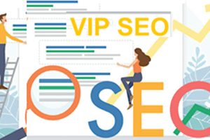Google SEO VIP